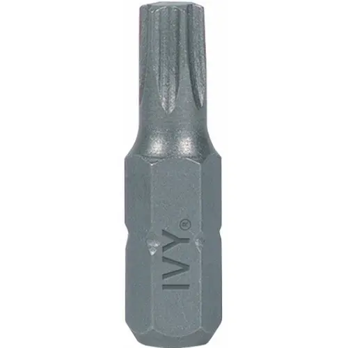1" T20 TORX INSERT BIT IVY