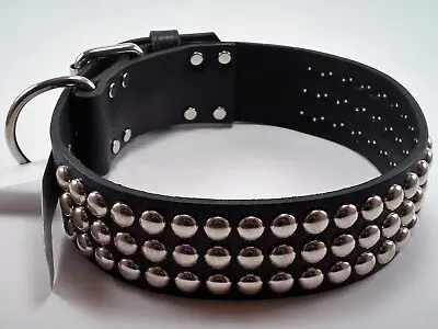2" REG 1-PLY LATIGO COLLAR 29" BLACK - 200L-BK29