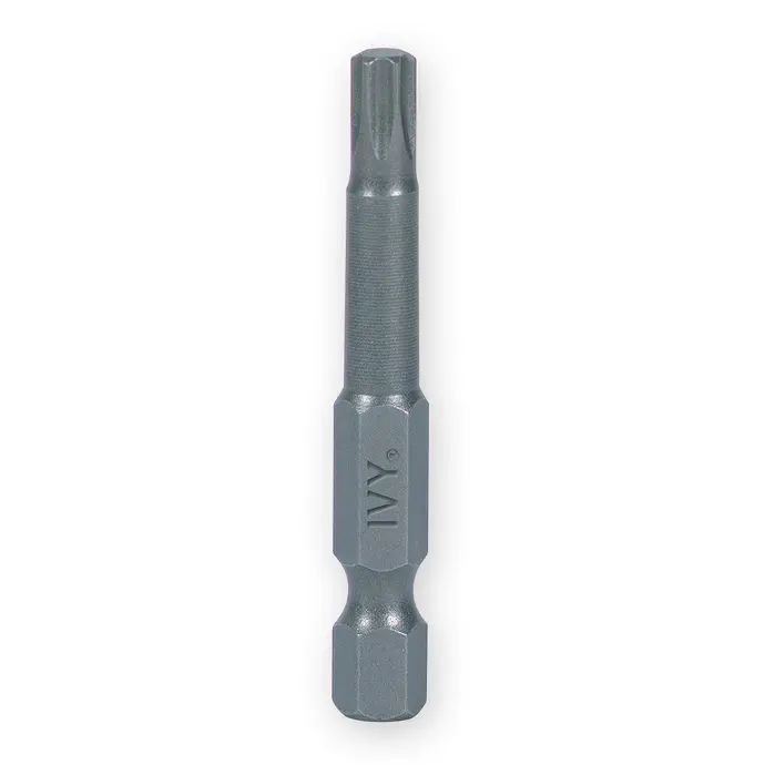 2" T20 Torx Power Bit Ivy