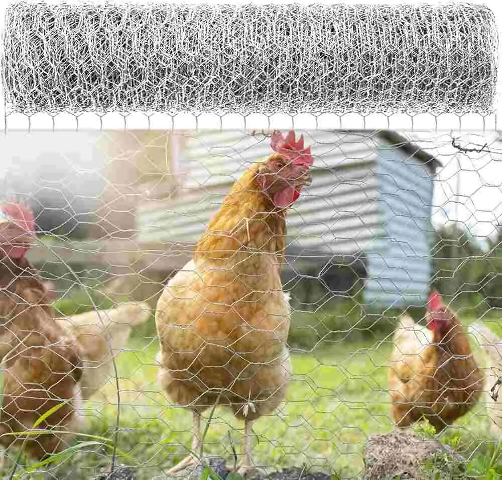 60"  POULTRY NET 150FT