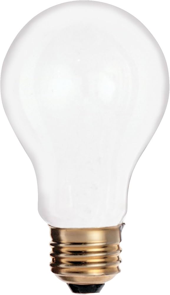 60W FROSTED INCANDESCENT BULB