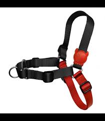 DOG COLLAR/LEASH - PH-CW1002