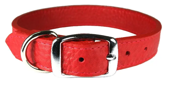 DOG LEASH - COLLAR - 6268-2