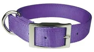 LEATHER BROTHER 1" REG BRAVO 1PLY NYLON COLLAR CLR/PR 21" - 115N-PR21