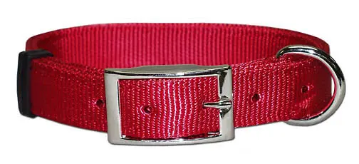 LEATHER BROTHER 1" REG BRAVO 1PLY NYLON COLLAR CLR/RD 26" - 115N-RD26