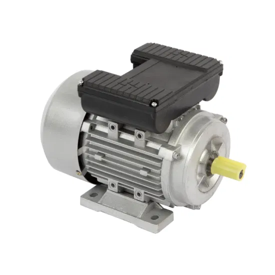 SINGLE PHASE ASYNCHRONOUS MOTOR 11002012003053 - 22WI024C24-070 