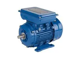SINGLE PHASE ASYNCHRONOUS MOTOR 11002012033055 - 32HI012C24-035(3C)