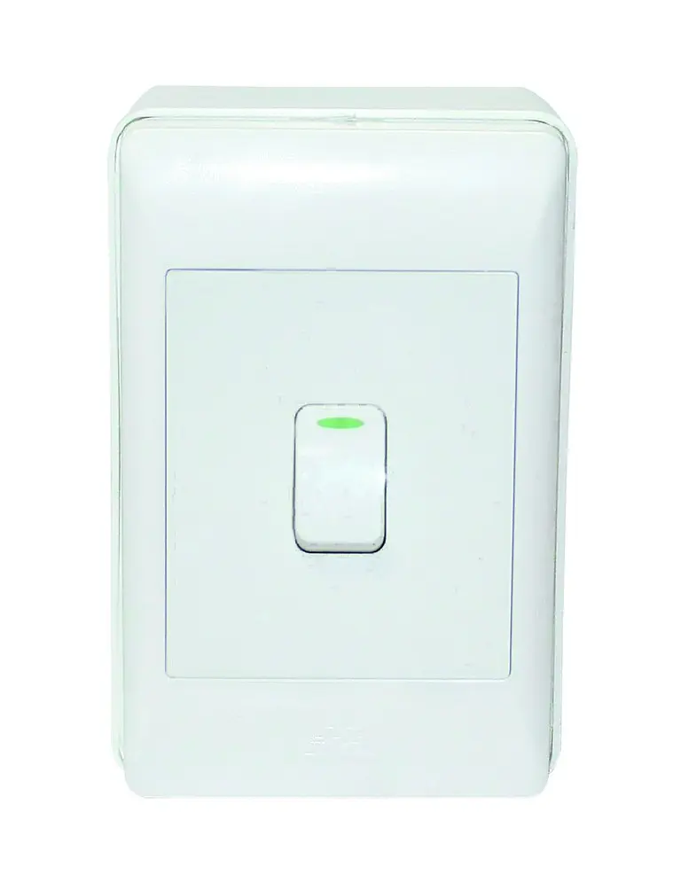 SINGLE SWITCH SURFACE 12/BX A136-G221-1