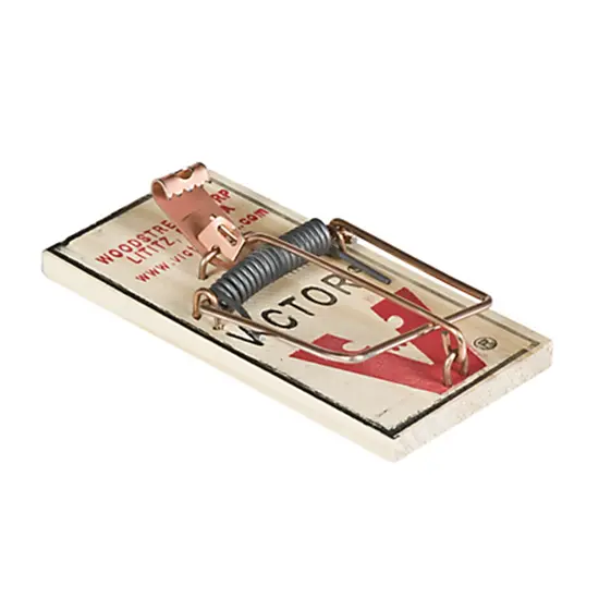 VICTOR MOUSE TRAP BULK - M040