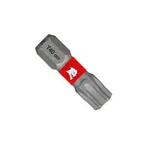 DIABLO T40 1" DRIVE BIT SINGLE - DT401P25