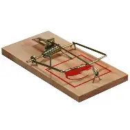 Pic Wood Rat Trap