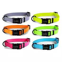 [024764263501] 1" CARNIVAL 18-26" LIME GREEN - 19144-LGR