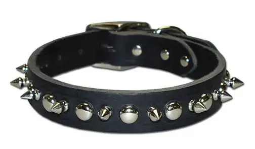 [024764005156] 1" REG 1-PLY LATIGO SPIKE STUD COLLAR BLACK 24" - 100LKS-BK24