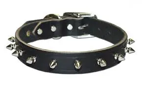 [024764131503] 1/2" REG 1-PLY LATIGO SPIKE STUD COLLAR BLACK 14" - 12LKS-BK14