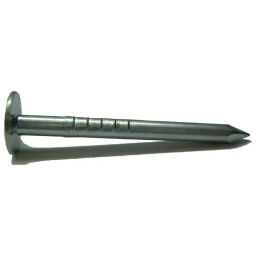 [BHN2CS] 2"  BIG HEAD GALVANIZED NAIL - LB