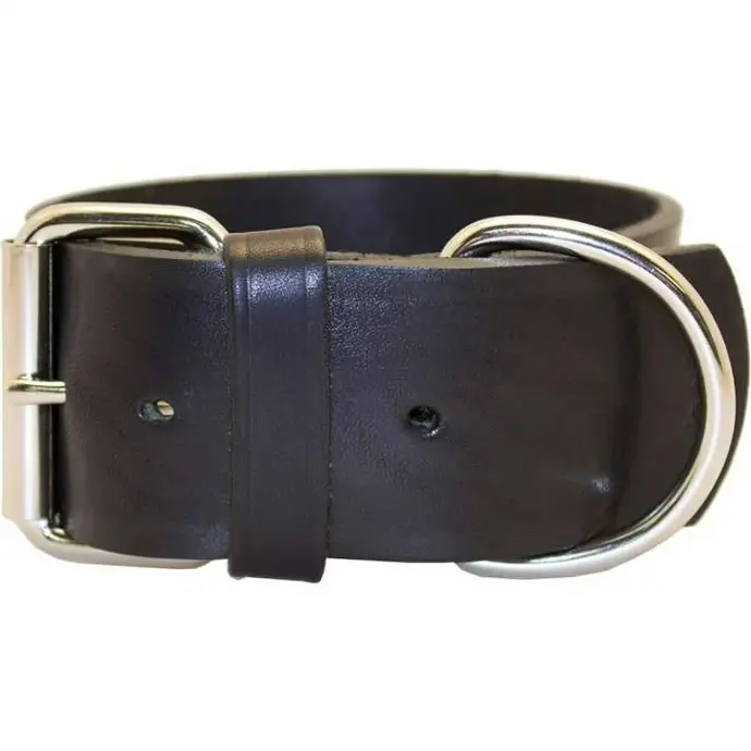 [024764200193] 2" REG 1-PLY LATIGO COLLAR 21" BLACK - 200L-BK21