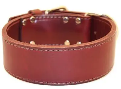 [024764300145] 2" REG 1-PLY LATIGO COLLAR 23" BU - 200L-BU23