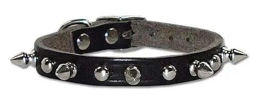 [024764005071] 3/4" REG 1-PLY LATIGO SPIKE STUD COLLAR BLACK 16" - 102LKS-BK16