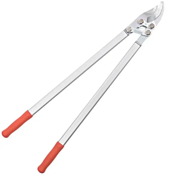 [756637317065] AGWAY COMPUND ACTION BYPASS LOPPER - 10502828