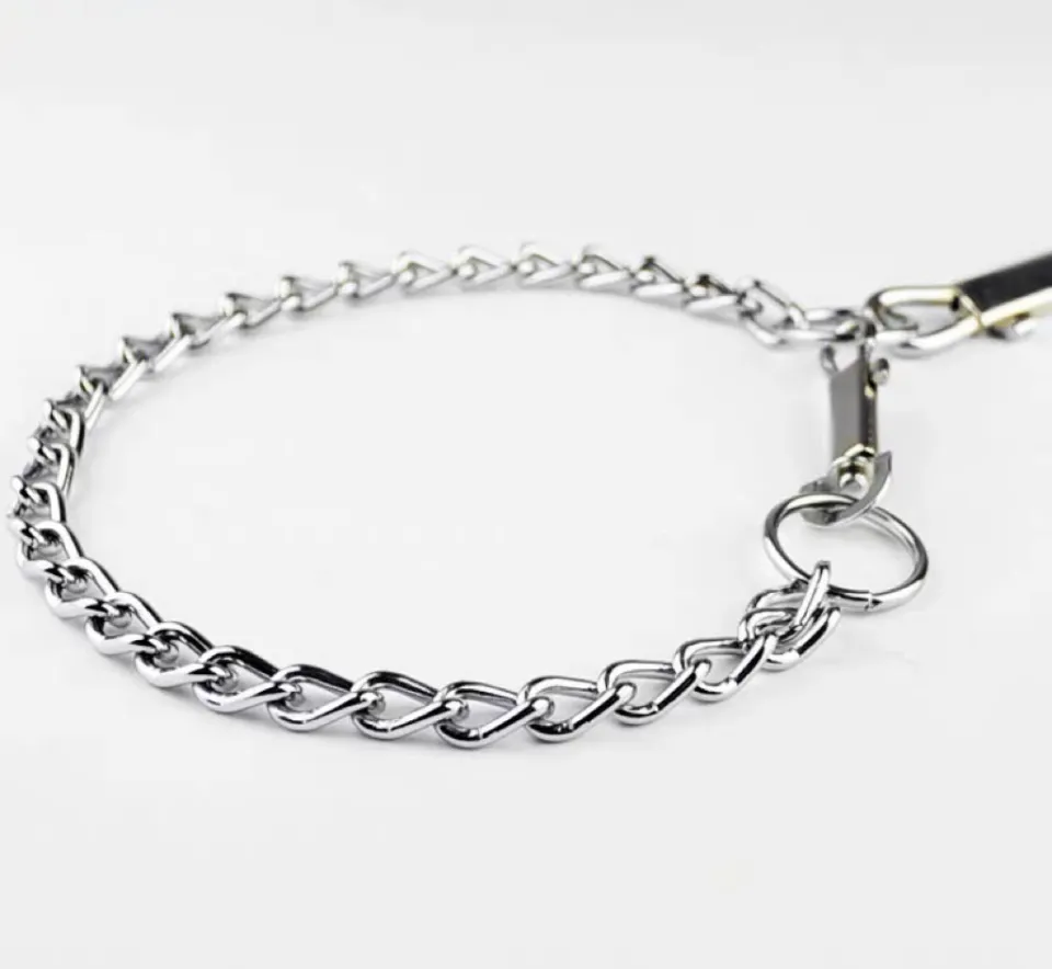 [6955731821025] DOG CHAIN - AZ2102