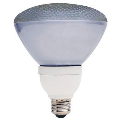 [043168808958] Fluroescent 26w Par Flood Lamp ( 80895)