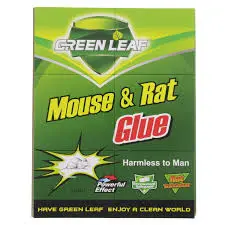 [6932271700362] GLUE RAT TRAP - GLE1001