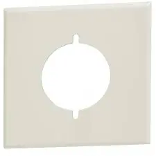 [30835243017727] LEXAN WALLPLATE 2-GANGS PAINTED STEEL POWER OUTLET - OS703-P