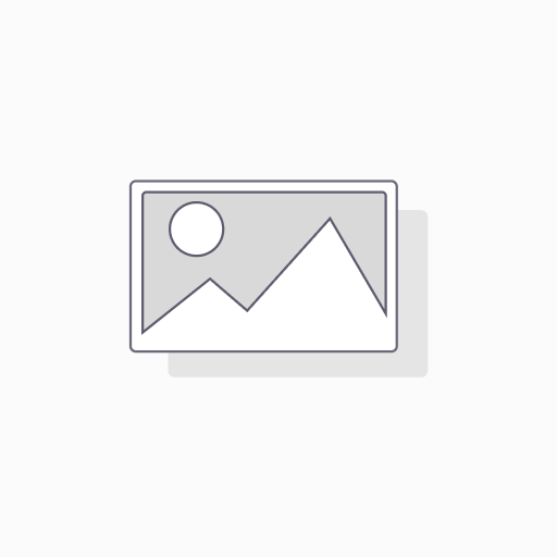 [ML0100F18] Mirror Clips