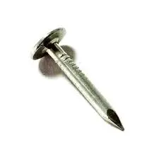 [764666506411 ] Nails Roofing 2-1/2in BIG HEAD