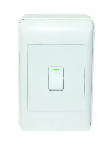 [7453038488044] SINGLE SWITCH SURFACE 12/BX A136-G221-1